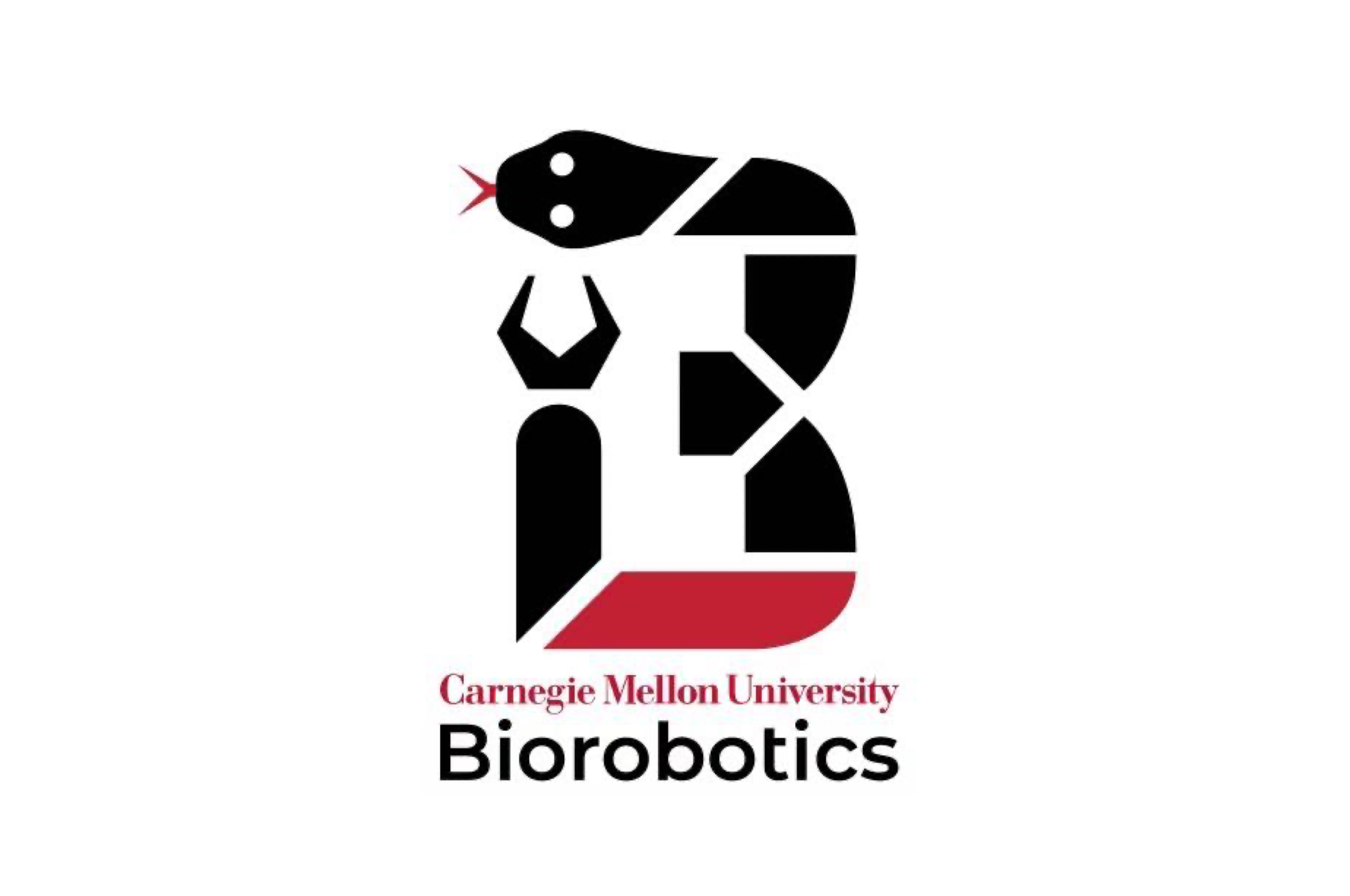 Bio-Robotic Hand Research